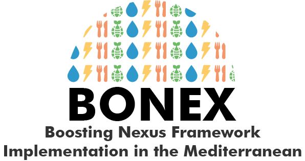 BONEX: Boosting Nexus Framework Implementation in the Mediterranean ...