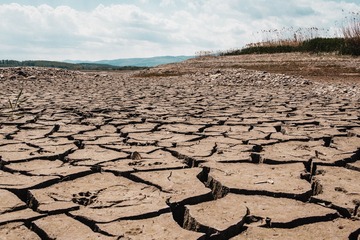A dried-out reservoir bed of cracked earth stretching to low hills, with reeds along the far bank under a bright cloudy sky.