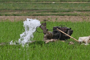 A diesel pump discharging groundwater into a green irrigated field in north-western Bangladesh